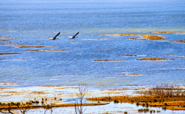 1592797633675058.jpg 20200509163700_5997.jpg