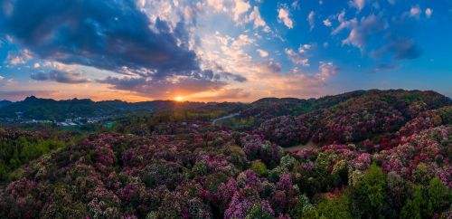 来到贵州，    呢哪些景点是你一定会去的呢？