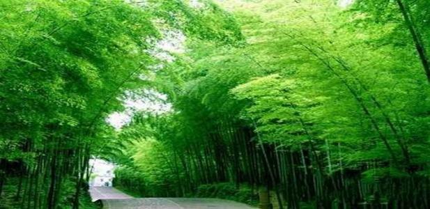 最全的贵州旅游攻略来啦！!！
