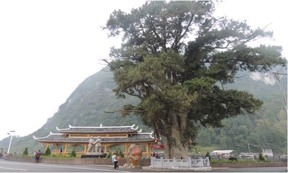 五一去哪玩？铜仁红色旅游景点--红二·六军团木黄会师纪念馆