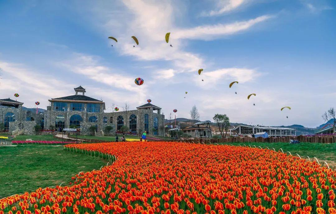 带孩子去赏花！独山森林公园+龙架山森林公园+六盘水大河堡+羊昌花画小镇