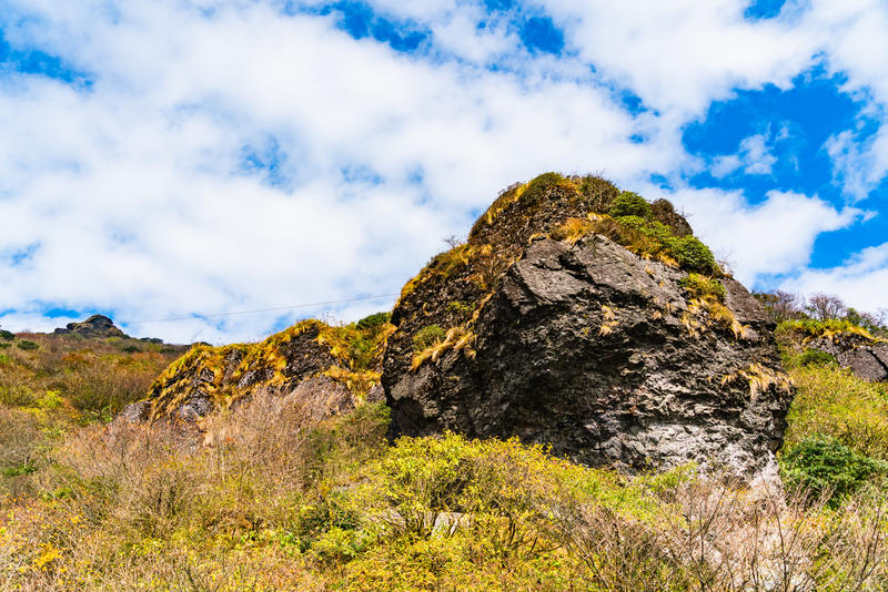 偶遇“天空之城”梵净山    呀，北半球最古老的生态乐园