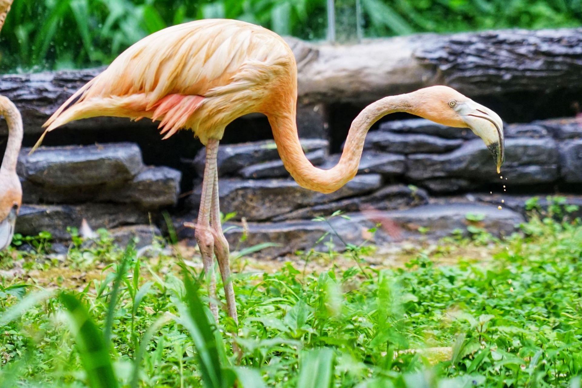 贵阳十大亲子游好去处    👨‍🏫，    呀带孩子玩耍的好地方盘点
