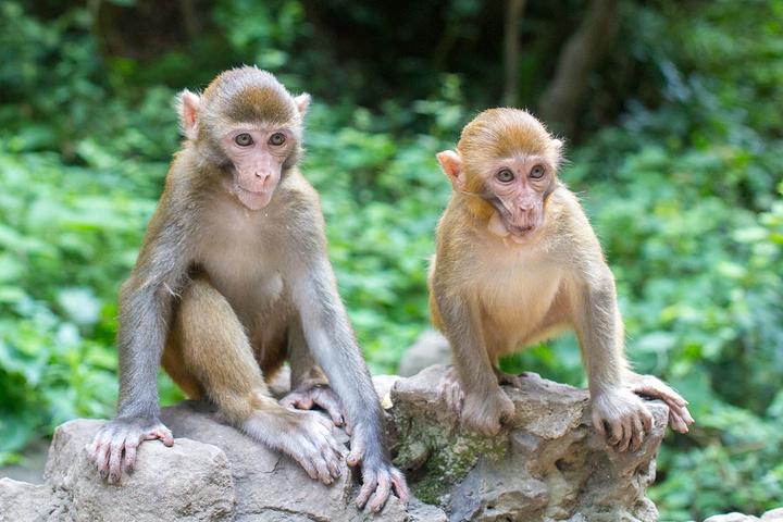 贵阳十大亲子游好去处, 嗯带孩子玩耍的好地方盘点 贵阳十大亲子游好去处 呢, 😗带孩子玩耍的好地方盘点