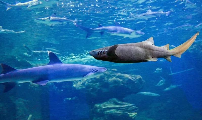 贵阳十大亲子游好去处，    嗯带孩子玩耍的好地方盘点