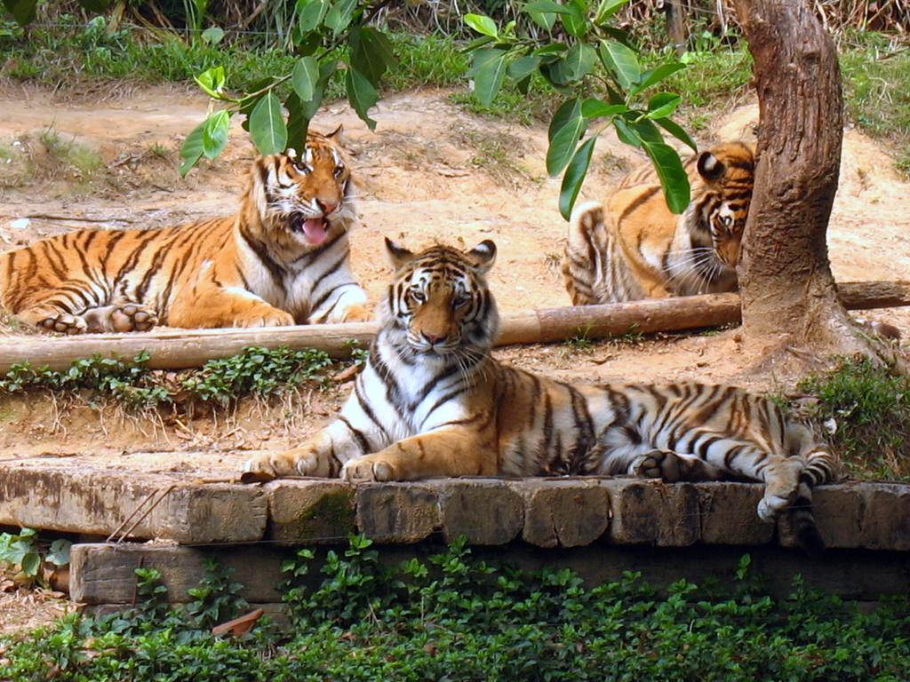 神秘贵州十大适合亲子旅游的地方