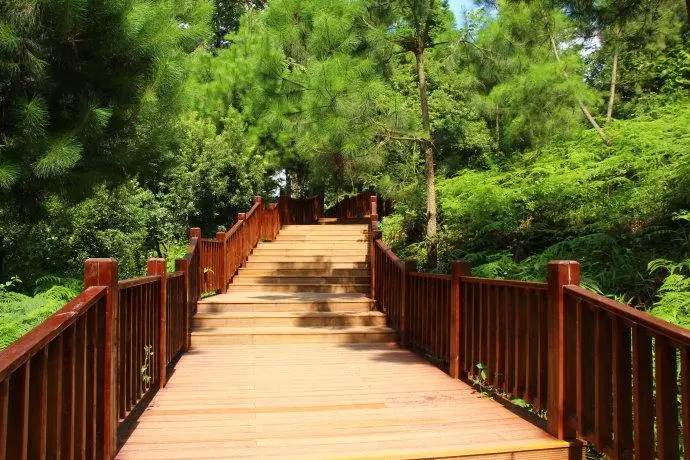 贵阳3月旅游好玩的地方 贵阳三月份赏花必去景点 贵阳3月旅游好玩的地方 贵阳三月份赏花必去景点