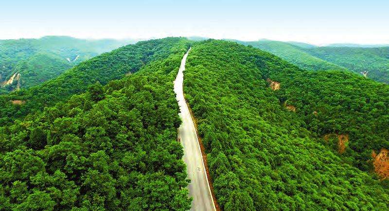 贵阳3月旅游好玩的地方 贵阳三月份赏花必去景点 贵阳3月旅游好玩的地方 贵阳三月份赏花必去景点