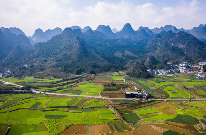 万峰林油菜花花期,万峰林景点推荐