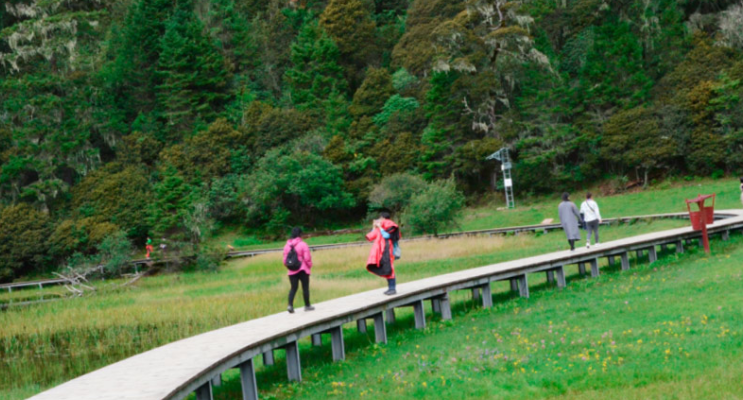 “三江并流”中心地带 呢, 呀普达措国家公园景色如何? “三江并流”中心地带 😆,普达措国家公园景色如何?