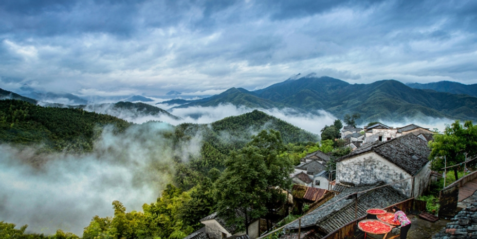 1652318184583325.png 16487168835.png