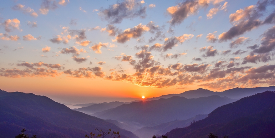 1652318192922551.png 16487168844.png