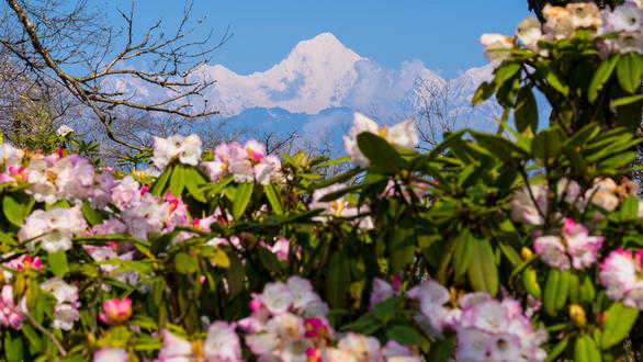 1653645593970983.jpg 1c4106c0ab729904.jpg