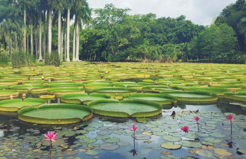 1654065723215885.png 20220424_edit_62650ca6e5f9c.png