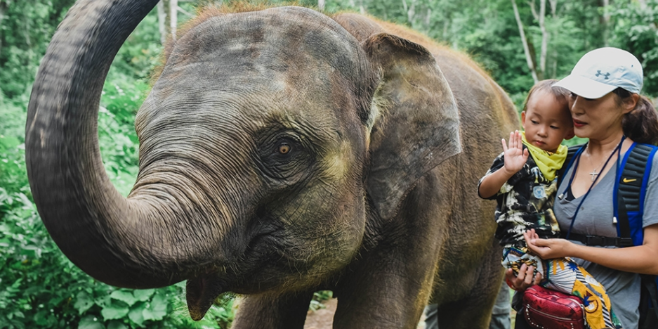 1654065761820260.png 16507895427.png