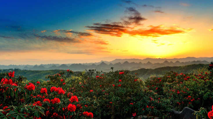 1654065835705629.png 16468973285.png