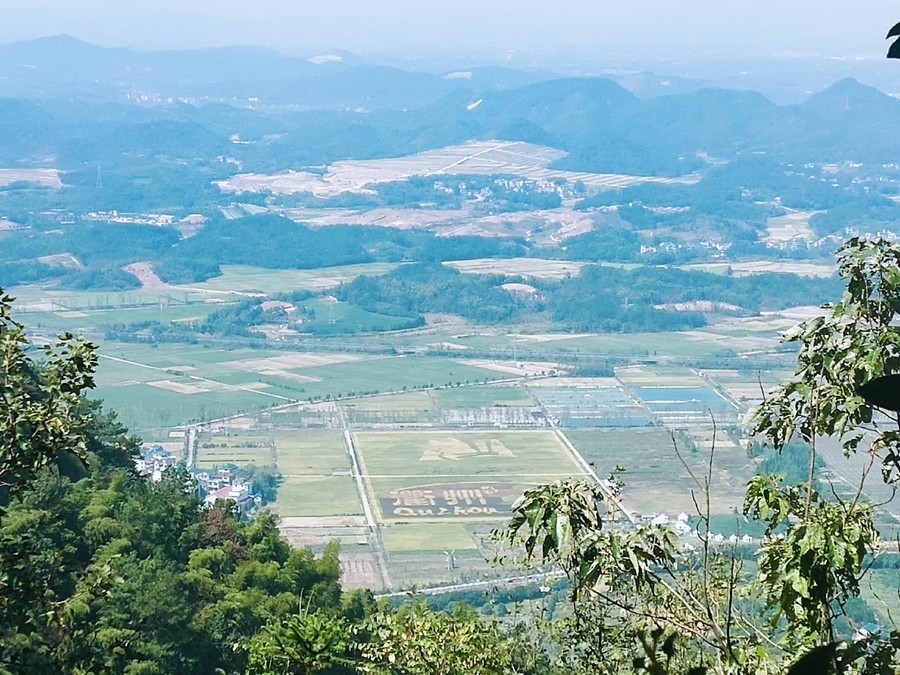 1660535830362776.jpg 1660535830362776.jpg