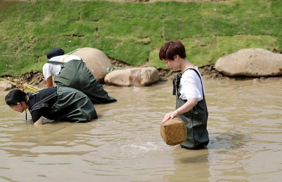 1660540552253943.jpg 1660540552253943.jpg