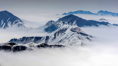 1660541860552187.jpg 1579415442000117.jpg