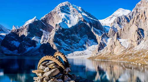 1660542952273996.png 15858951304.png