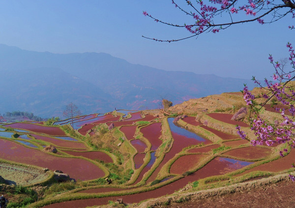 1660707809687996.png 14879024951.png