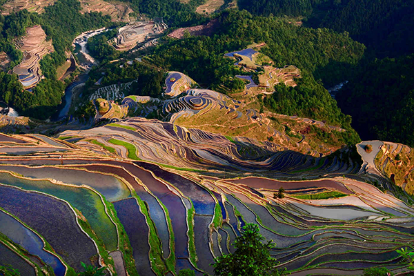 1660730234610896.png 14879016447.png