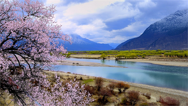 1661218371333039.png 20170216_edit_58a500ffd84a9.png