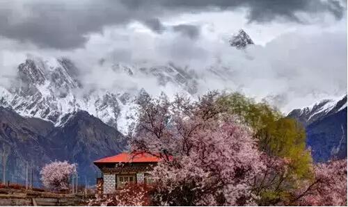 1661218450249757.jpg 20170216_edit_58a502130d61d.jpg