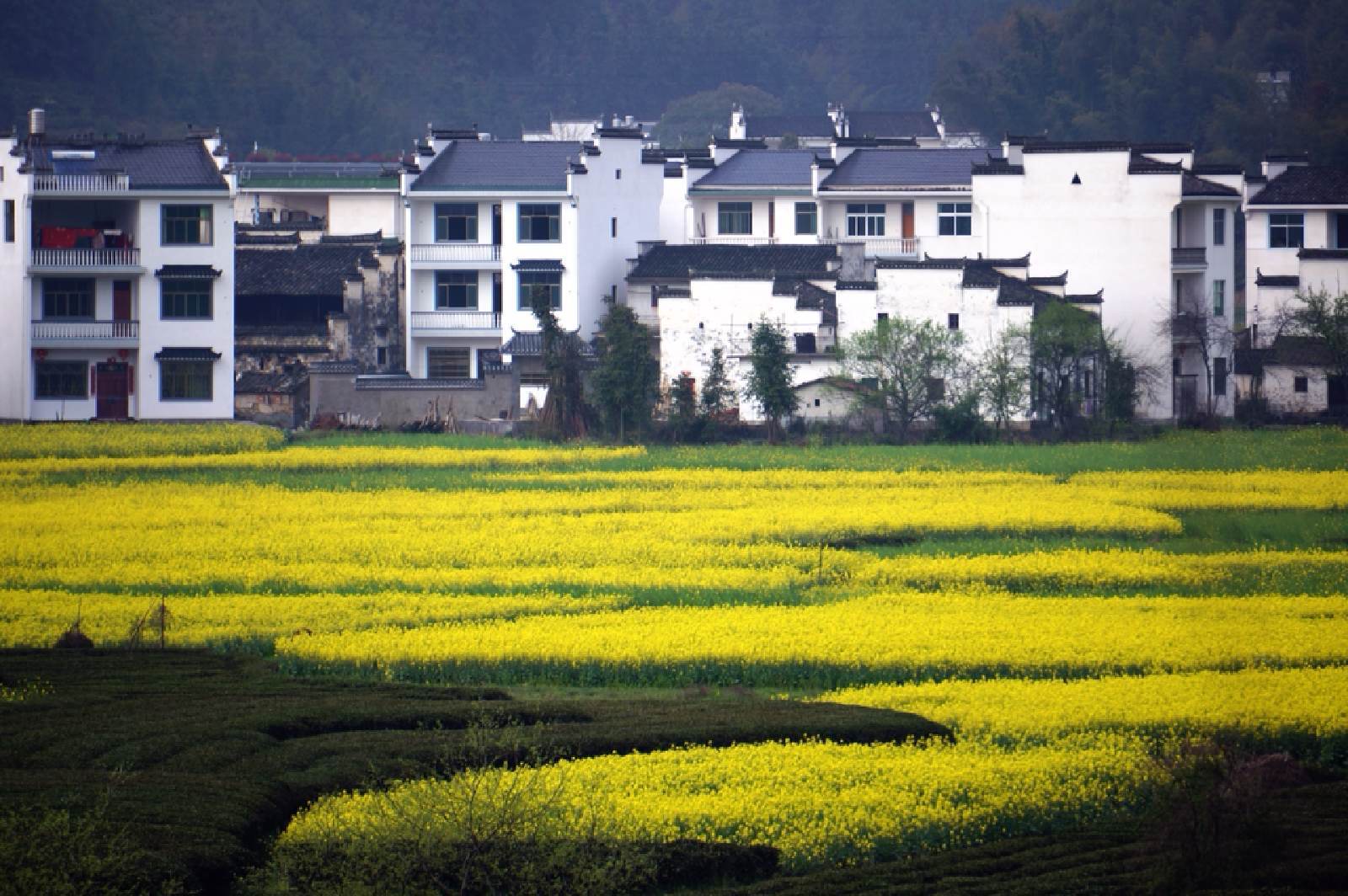 1661393697960591.jpg 1661393697960591.jpg