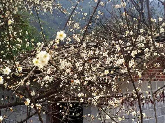 1661765193479921.png 14878306857.png