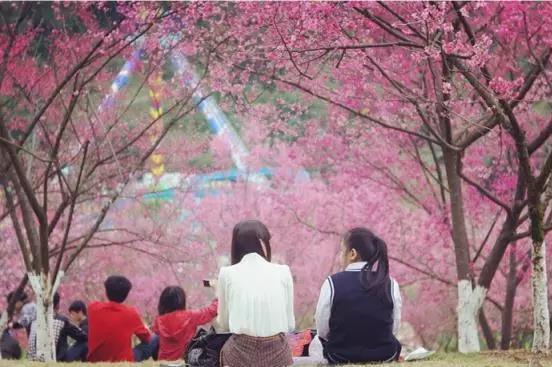 1661765227332121.png 14878306867.png