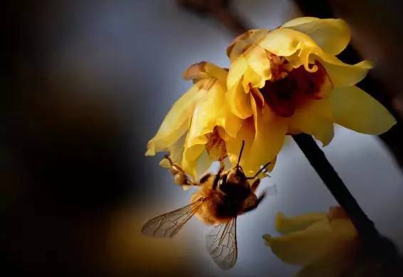 1661765258822999.png 14878306866.png