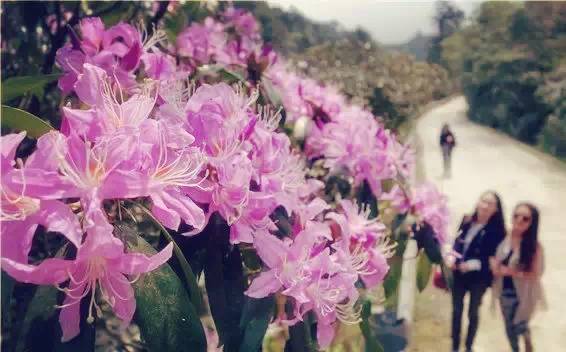 1661765292746373.png 14878306882.png