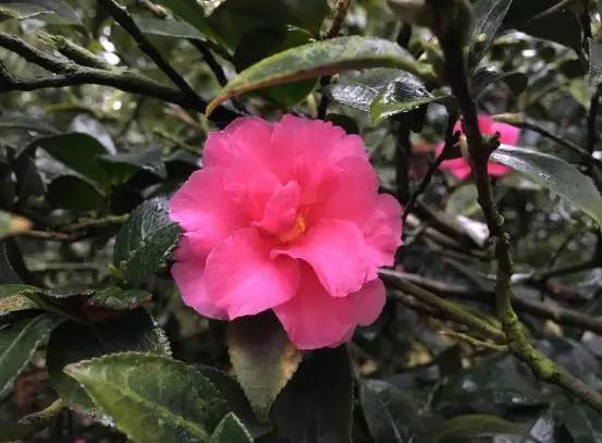 1661765308811080.jpg 20170223_edit_58ae7ef2172d3.jpg