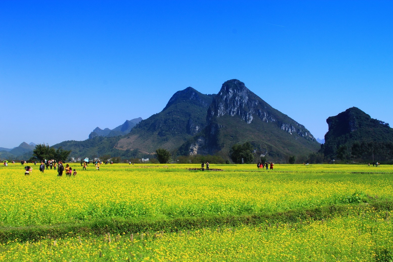 1661765343646838.jpg 1661765343646838.jpg