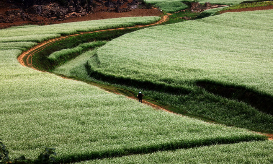 1661765383430733.jpg 1661765383430733.jpg