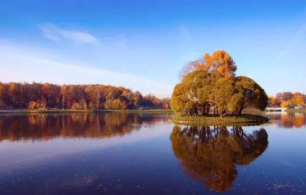 1661847802625341.png 14840116152.png