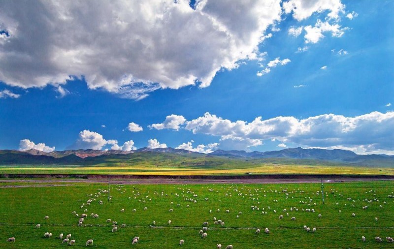 1661848855139523.png 14839351042.png