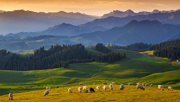 1665651657832368.png 飞鸽截图20221013170052.png