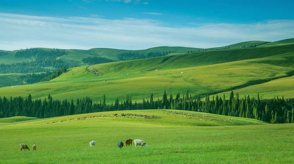 1665651789954293.png 飞鸽截图20221013170304.png