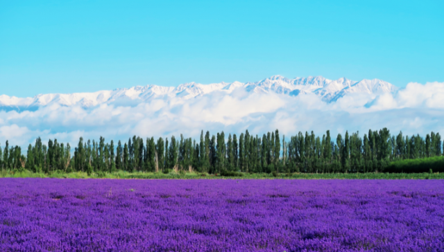 1665651962357049.png 飞鸽截图20221013170556.png