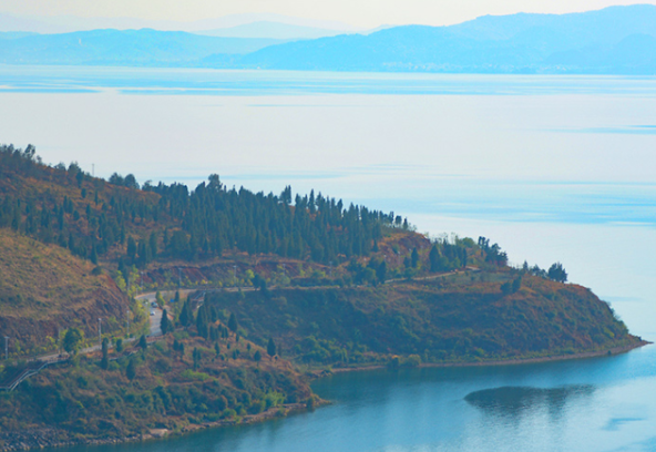 1665652872739705.png 飞鸽截图20221013172106.png