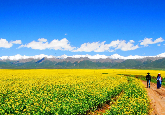 1665652946177657.png 飞鸽截图20221013172220.png