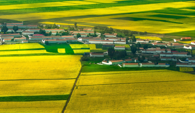 1665652965400142.png 飞鸽截图20221013172239.png