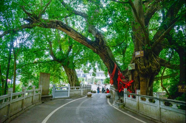 全国乡村旅游精品线路之贵州篇—把万峰尽收眼底,将自然囊括怀中 全国乡村旅游精品线路之贵州篇—把万峰尽收眼底,将自然囊括怀中