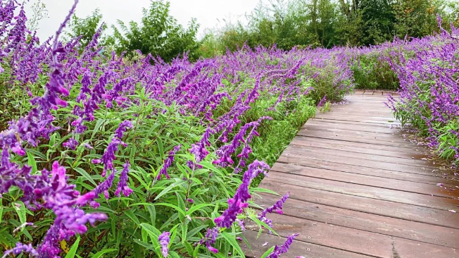 多彩贵州，    嗯秋色绚烂