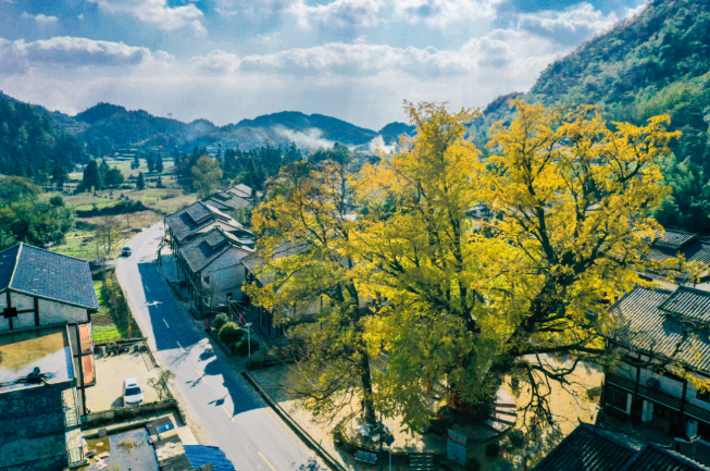 多彩贵州,秋色绚烂 多彩贵州,秋色绚烂