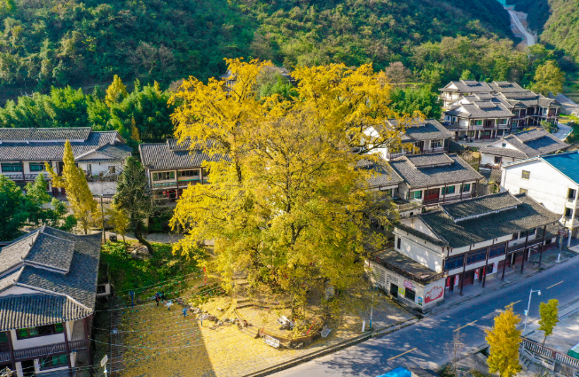 多彩贵州    💆‍♀️，    🦹秋色绚烂