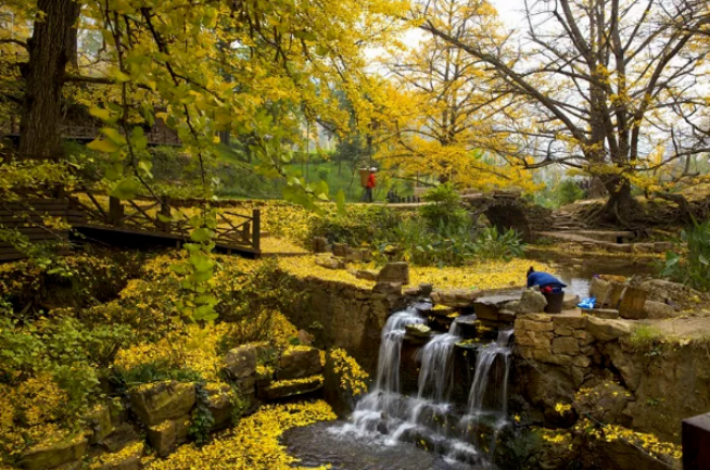 多彩贵州 呢, 嗯秋色绚烂 多彩贵州 🧖, 呀秋色绚烂