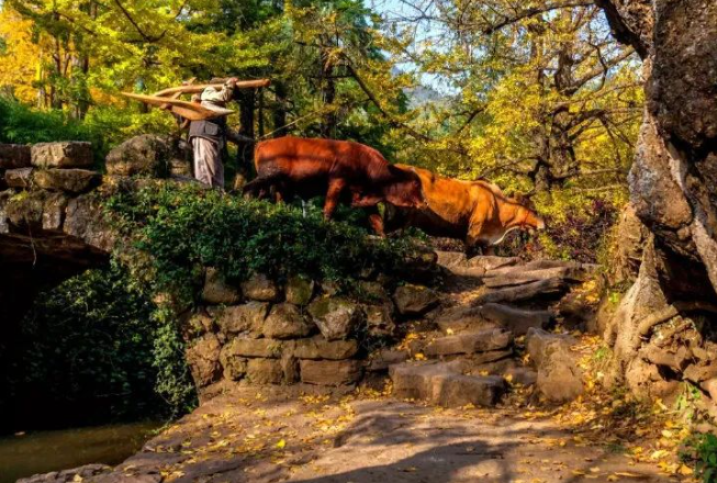 多彩贵州 嗯,秋色绚烂 多彩贵州 🤦, 🧎秋色绚烂